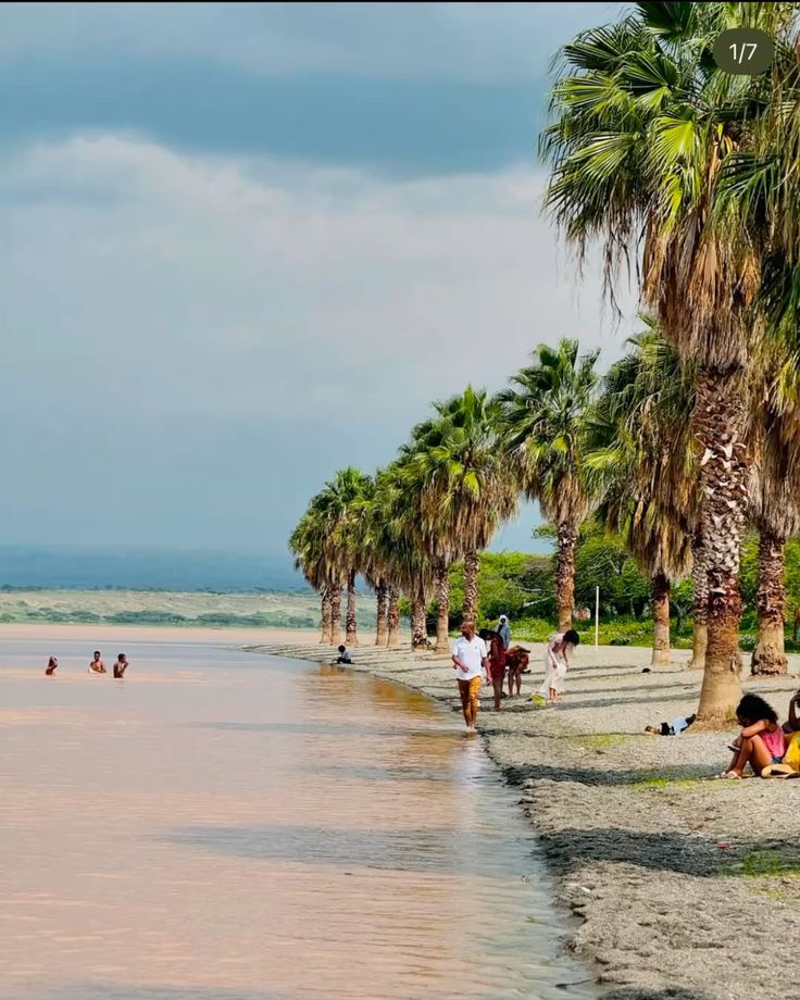 Lake Langano shoreline, Ethiopia